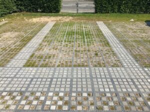 - TTE Plast - Blogs